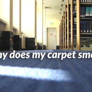 Why does my carpet smell?